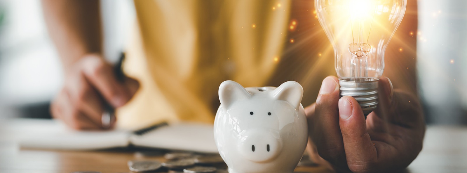 a person holding a light bulb next to a piggy bank